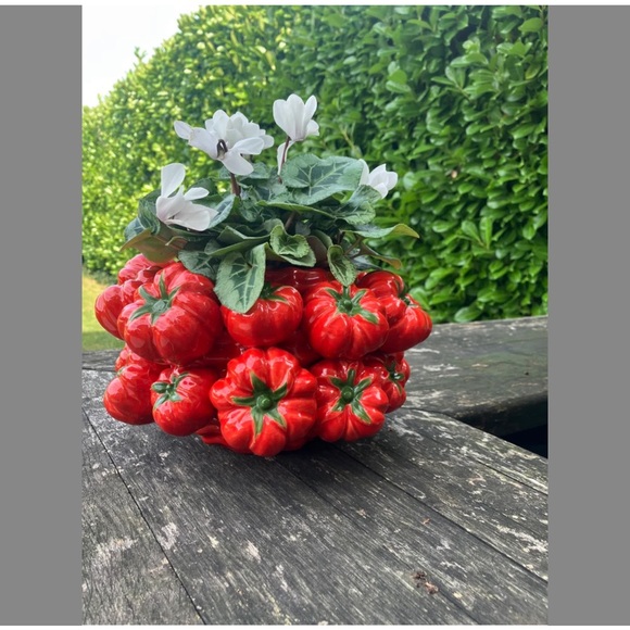 Red Pepper Ceramic Planter with White Flowers